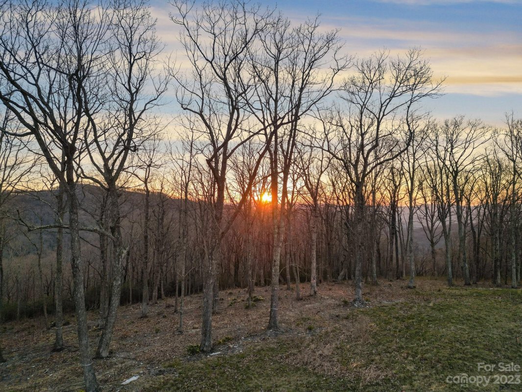 Tbd Mountain Grove Lane LOT 57