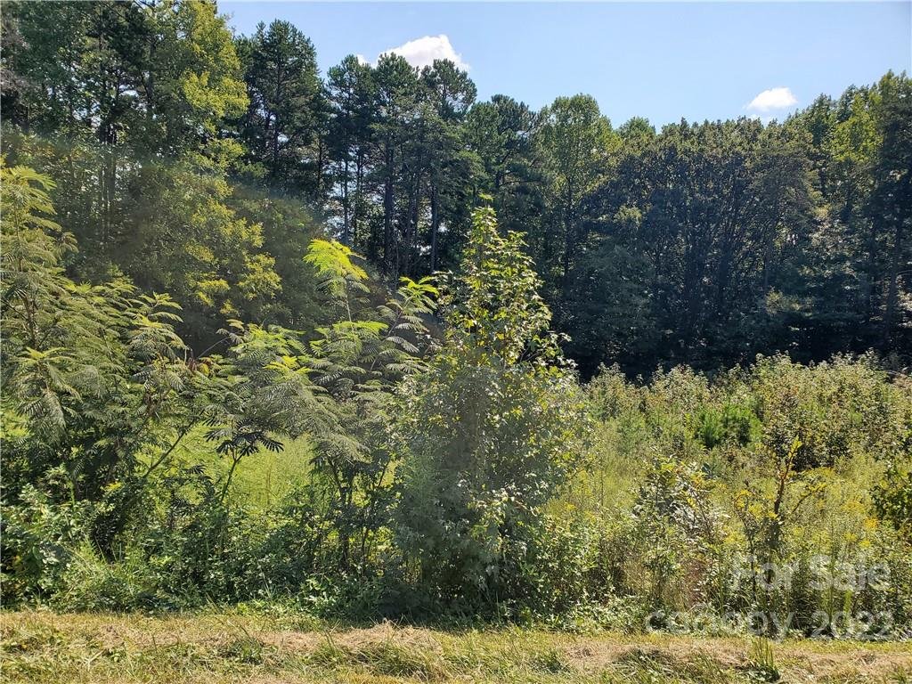 289 State Park Road