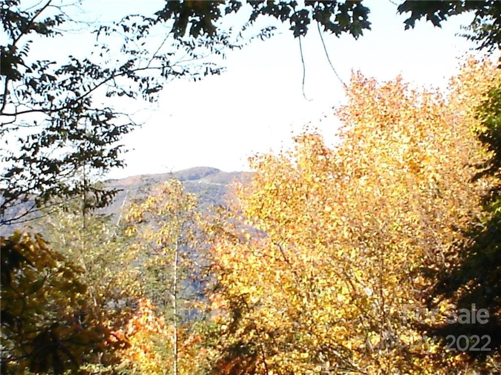 201 Chickadee Lane