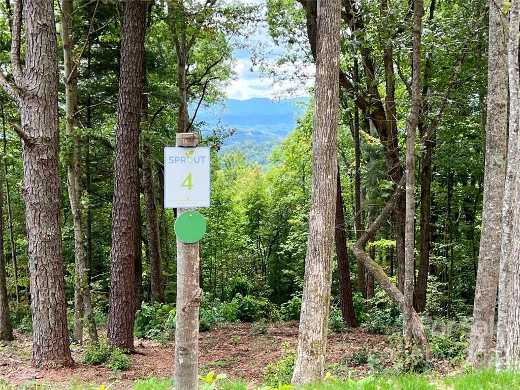 0000 New Sprout Lane Lot 4