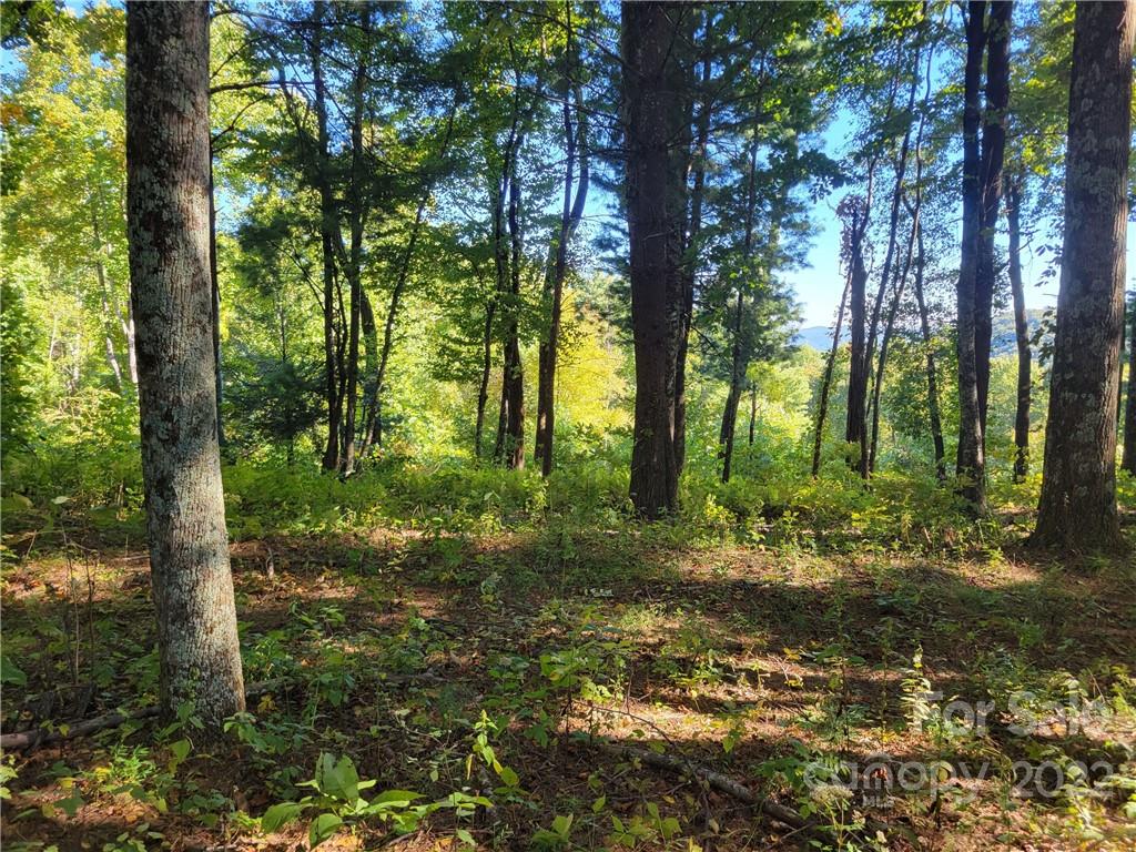 Lot 188 Dancing Bear Drive
