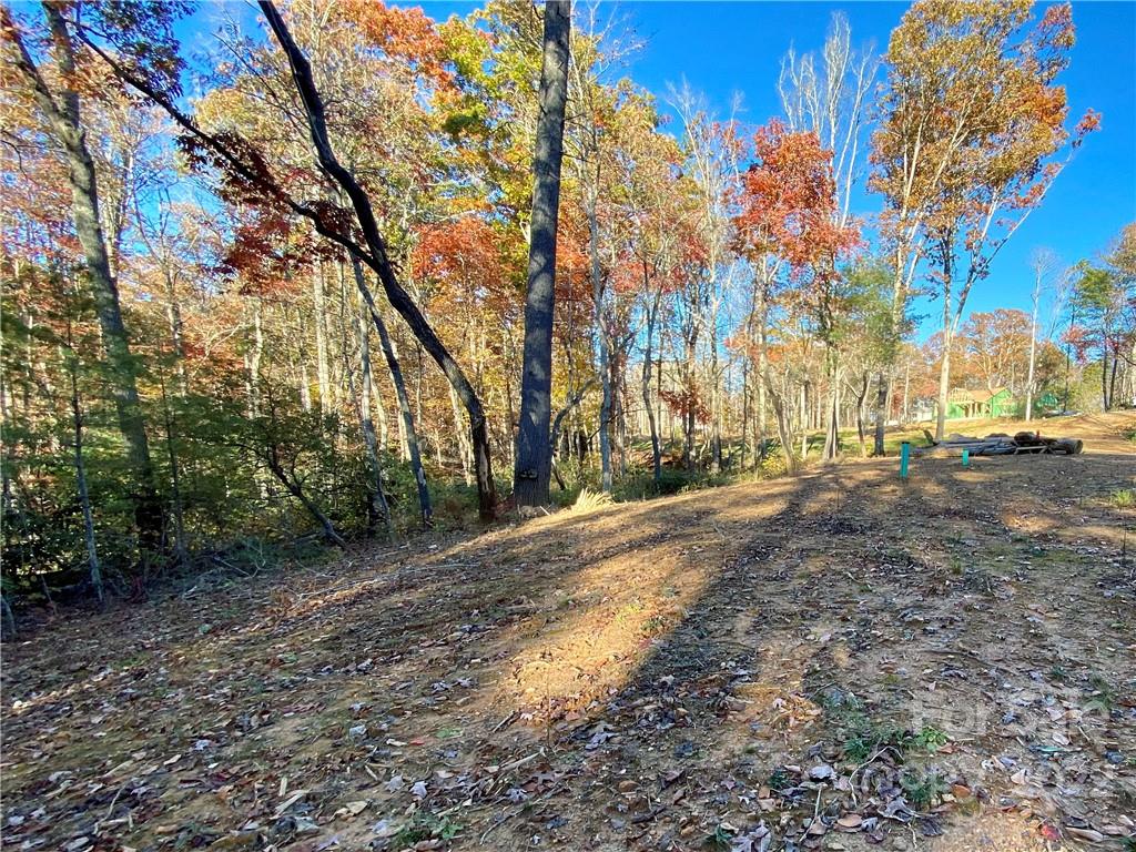 Lot 9 Ted Linn Drive