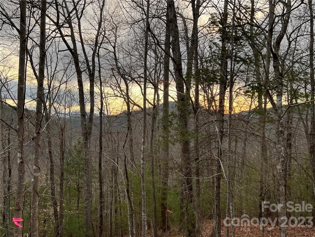 Lot 107 Laurel Ridge