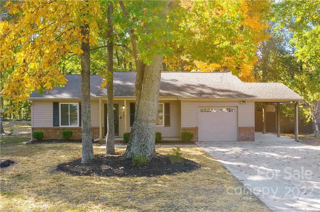 6301 Judas Tree Lane