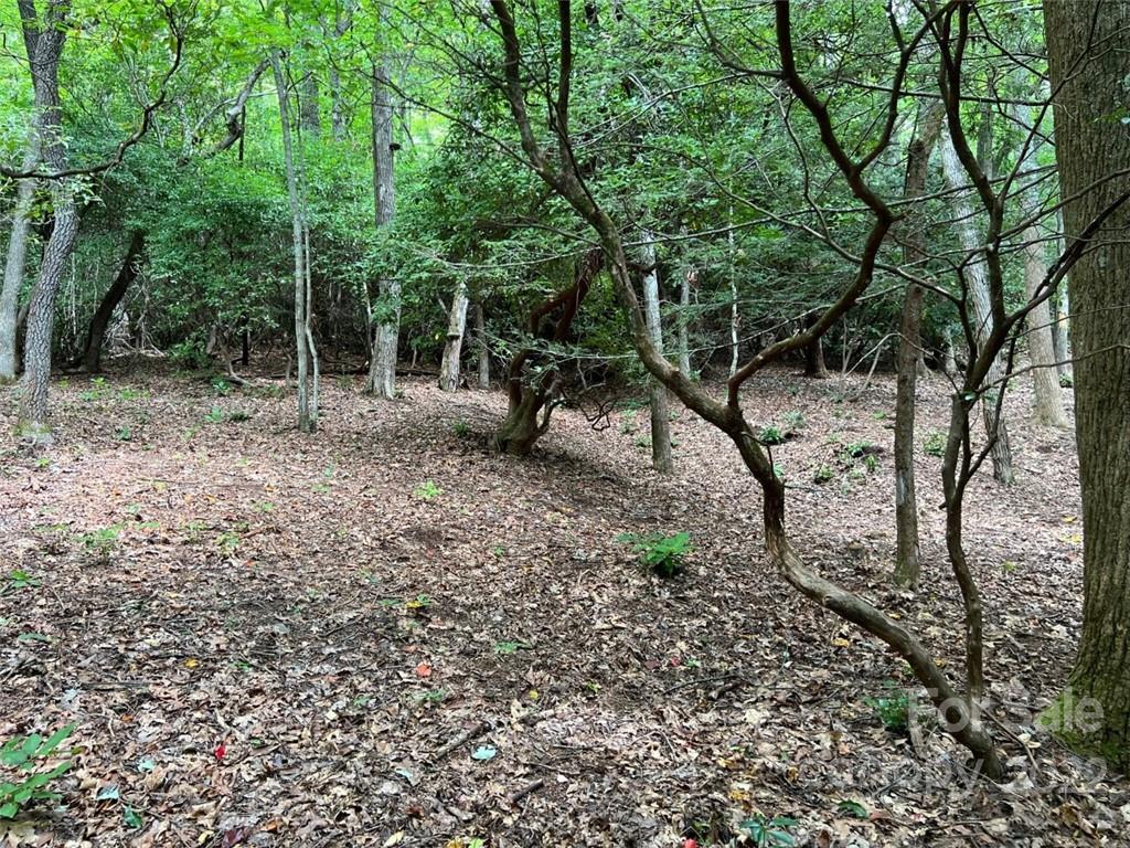 0000 New Sprout Lane Lot 5