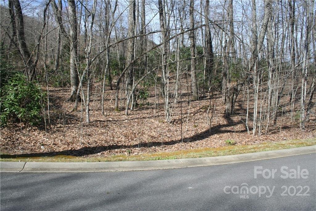 16 Crockett Ridge Road 185