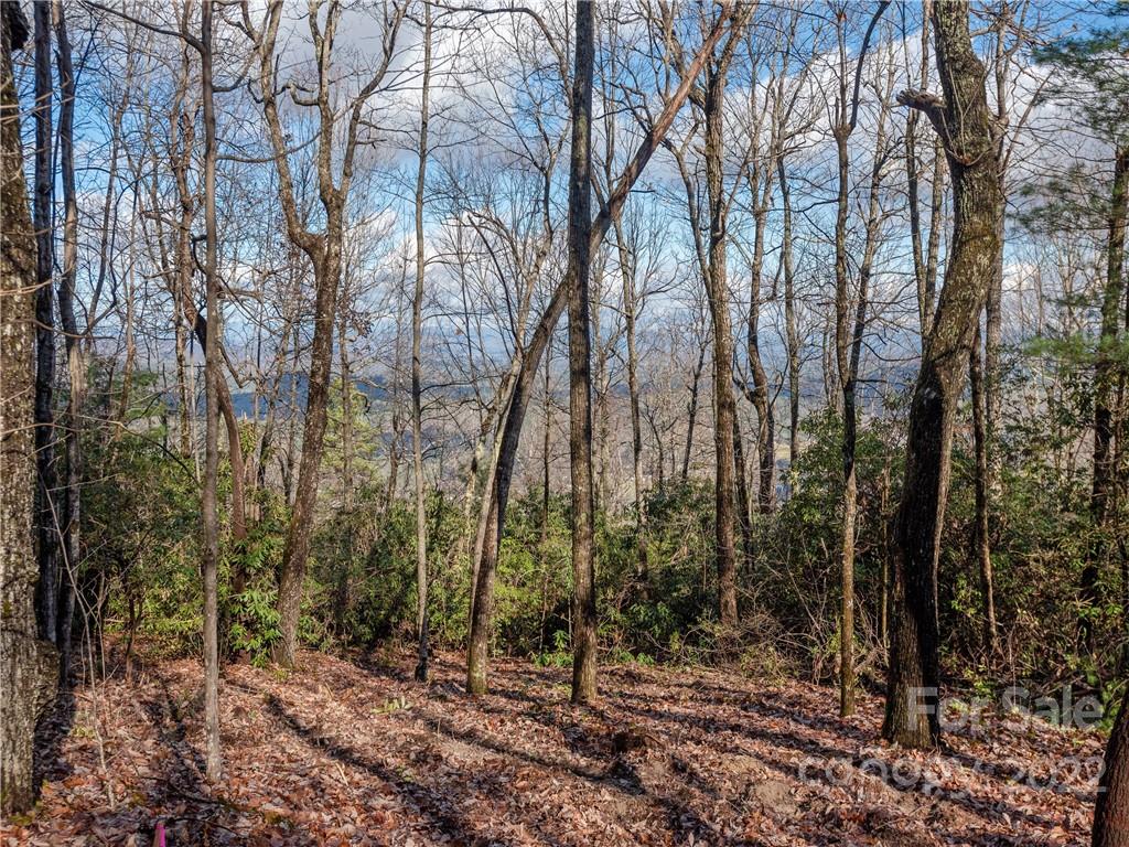 000 Pinnacle Mountain Road