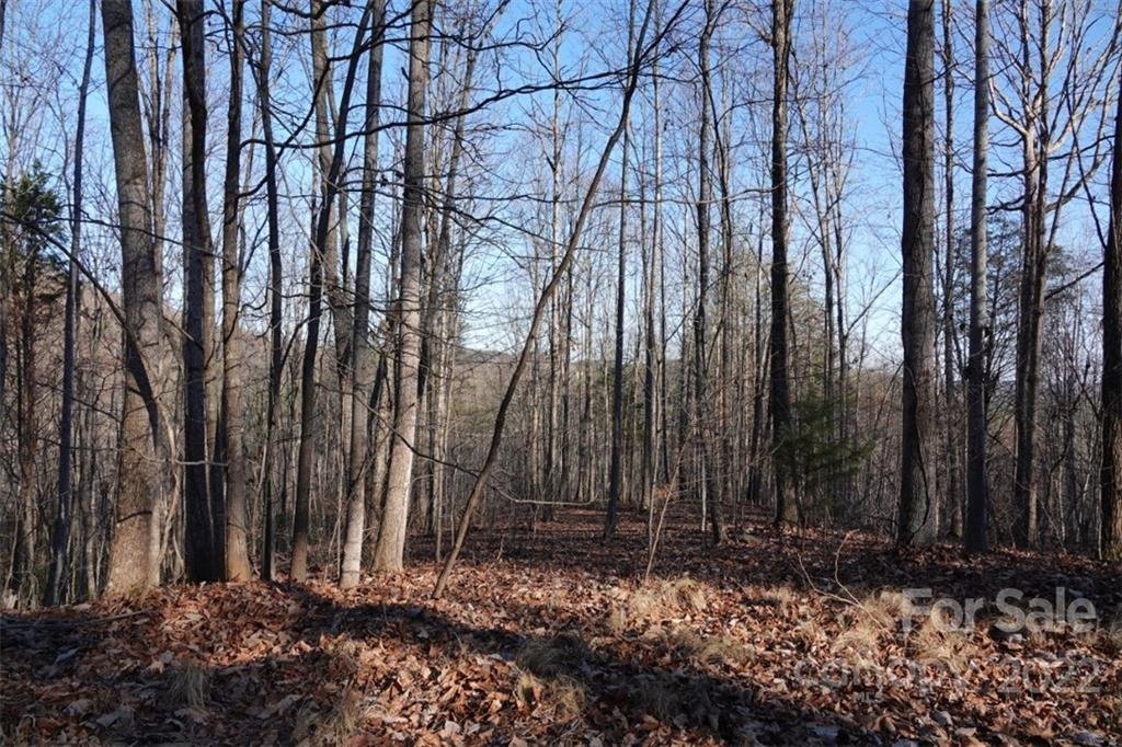 171 Luckadoo Mountain Road