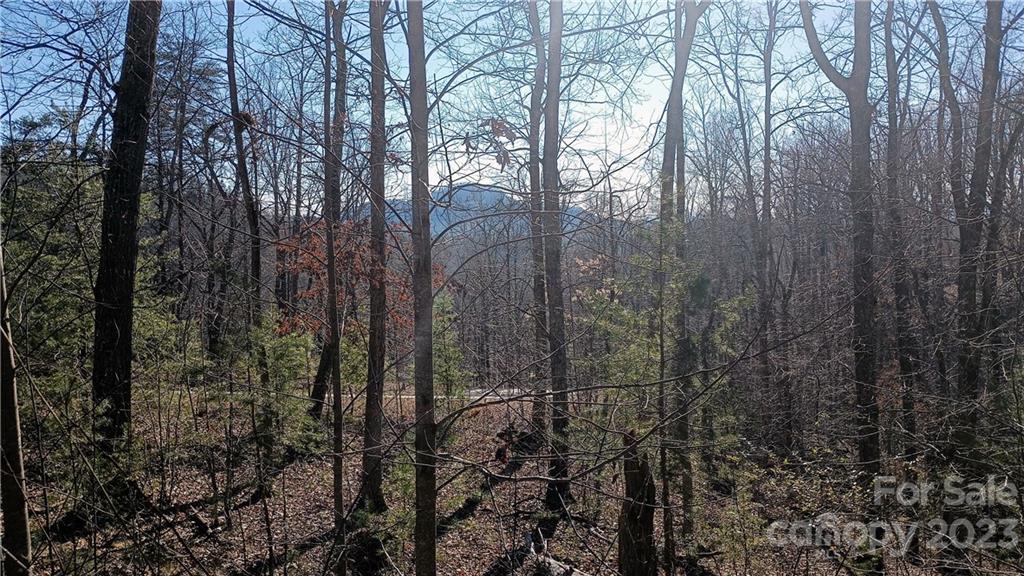 108 Mountain Brook Trail