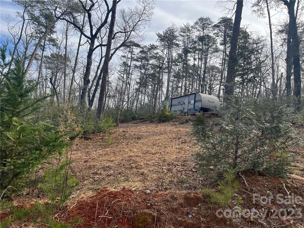 205 Wolf Trail