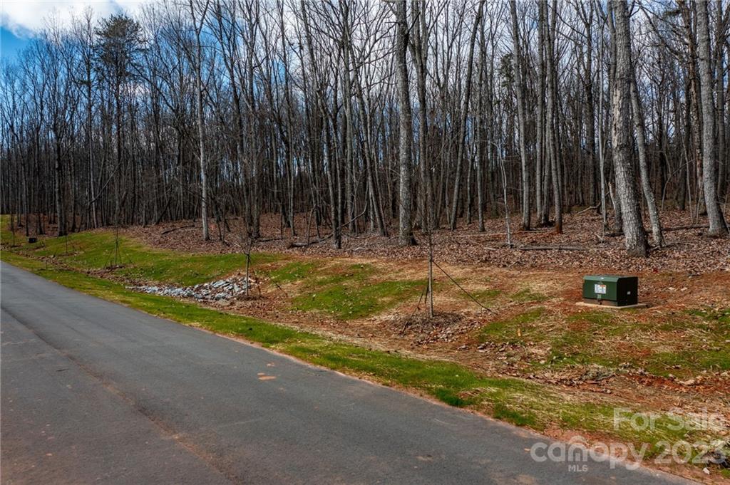 Lot 4 Brancer Lane