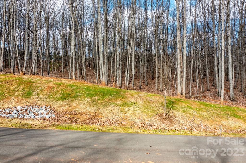 Lot 7 Brancer Lane