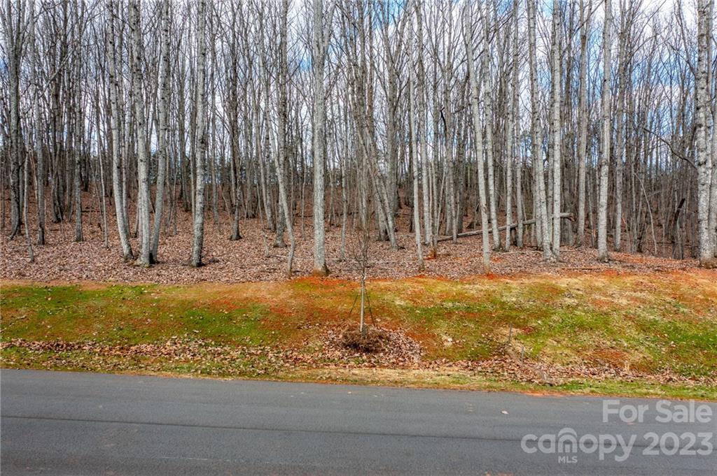 Lot 8 Brancer Lane