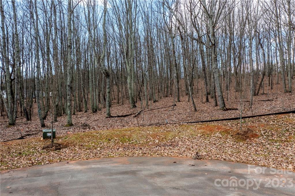 Lot 11 Brancer Lane