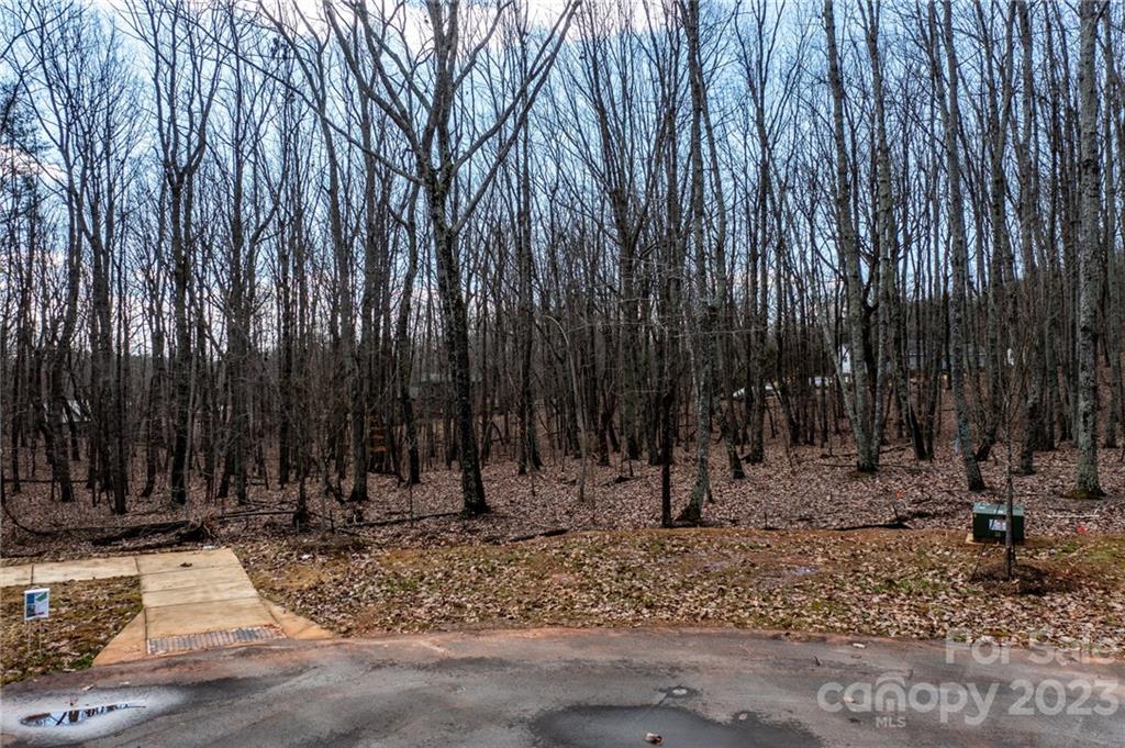 Lot 12 Brancer Lane