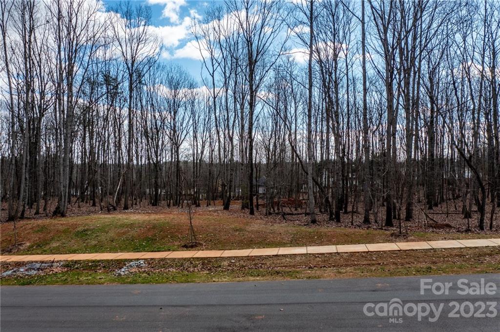 Lot 15 Brancer Lane