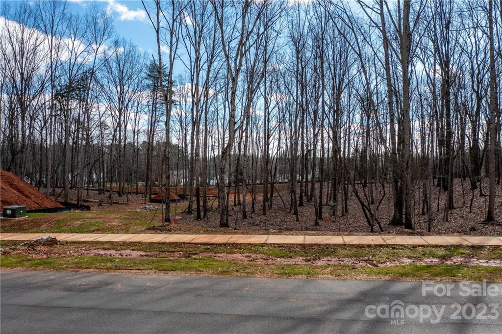 Lot 18 Brancer Lane