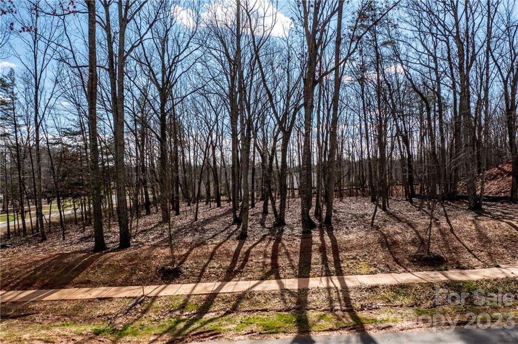 Lot 20 Brancer Lane