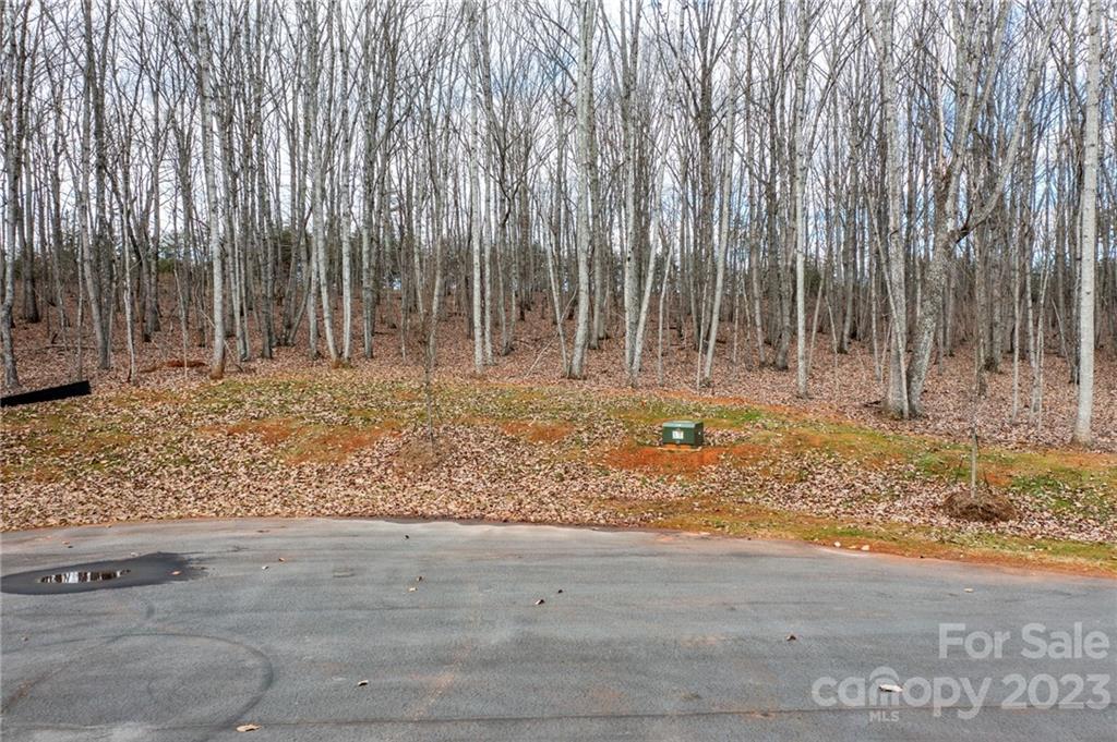 Lot 10 Brancer Lane