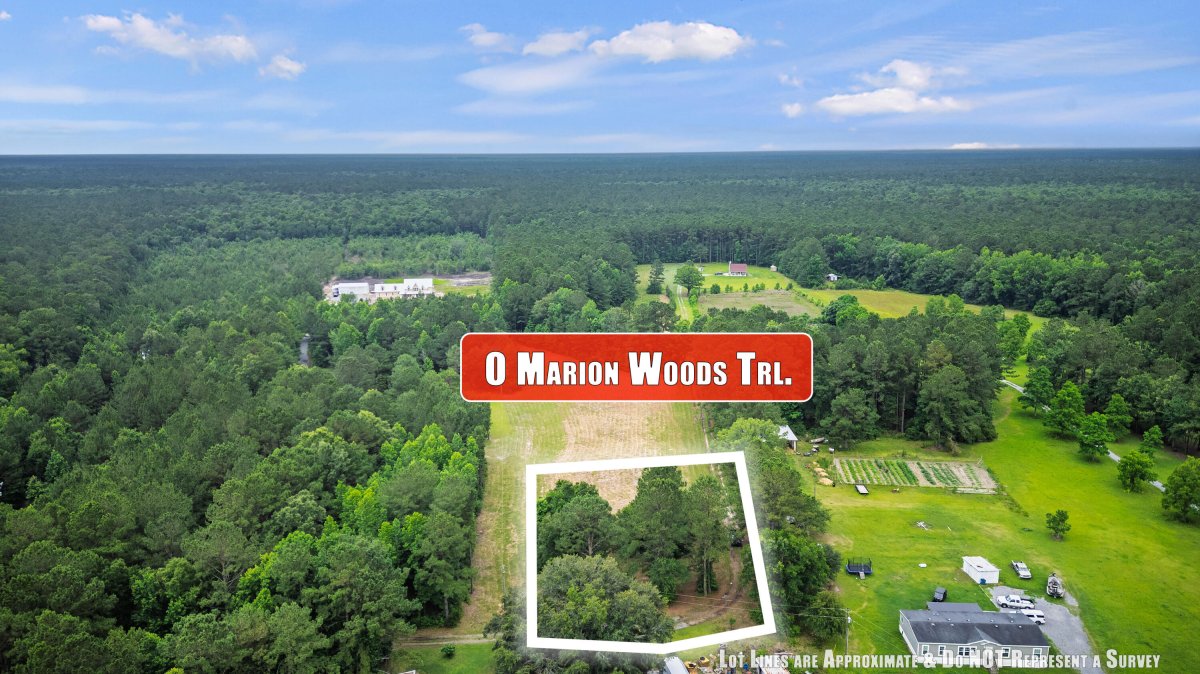 1 Marion Woods Trail