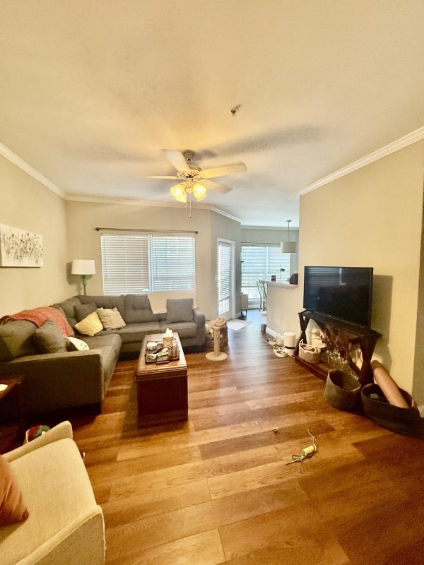 700 Daniel Ellis Drive 9105