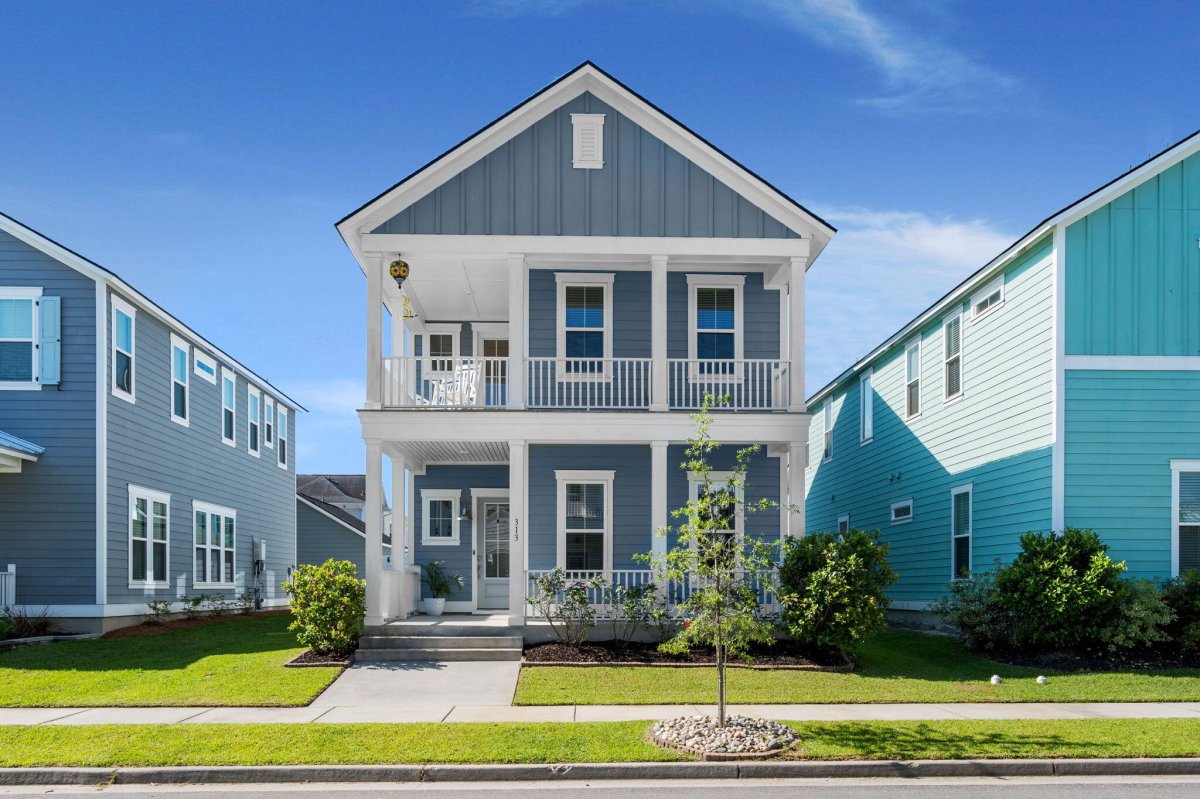 313 Cypress Knee