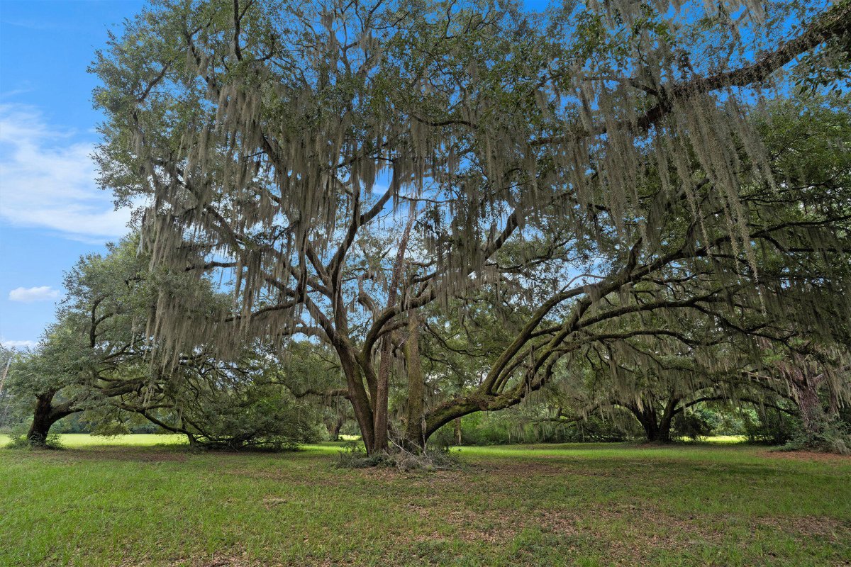 7817 Little Britton Road Lot 1 Lot C-1