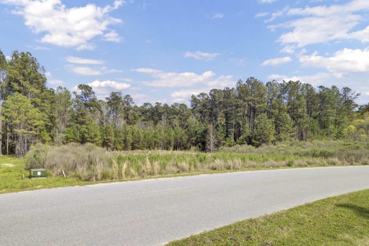 1319 Wood Sorrel Drive