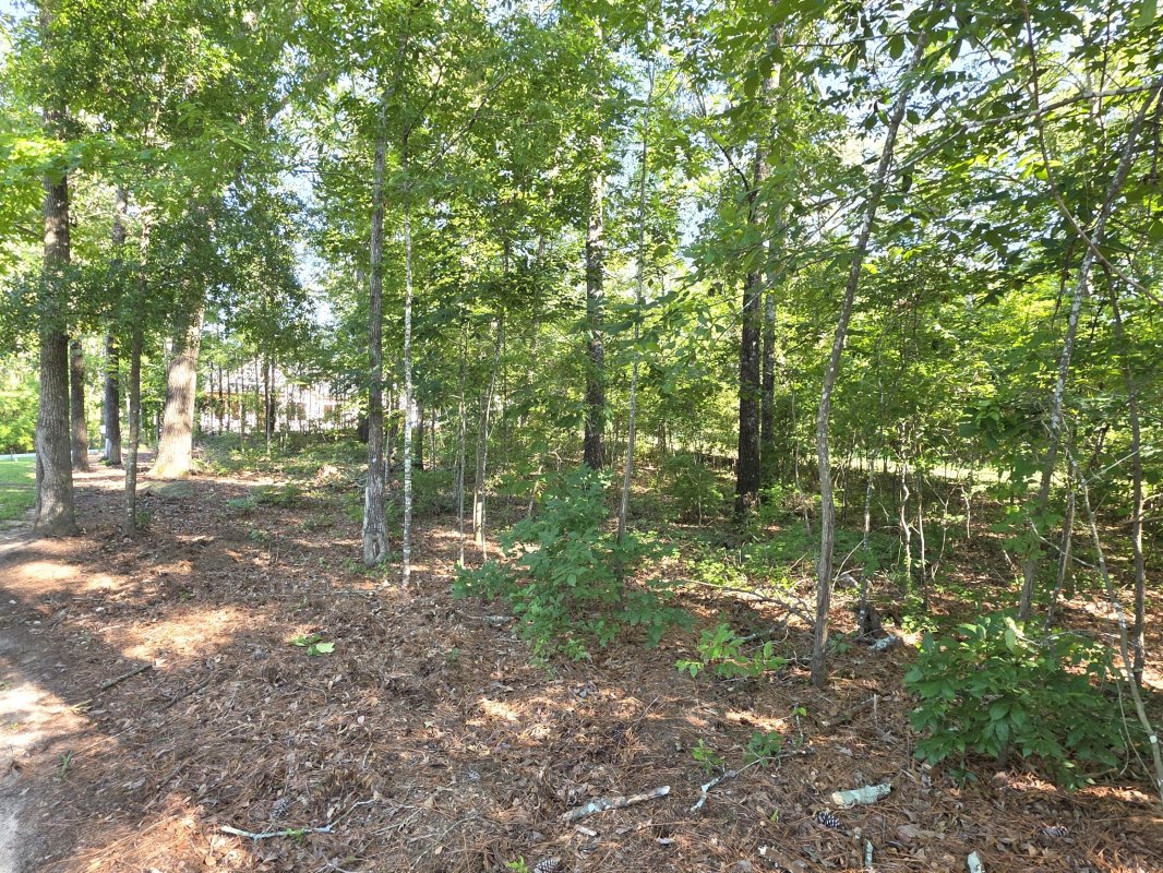 620 Plantation Drive