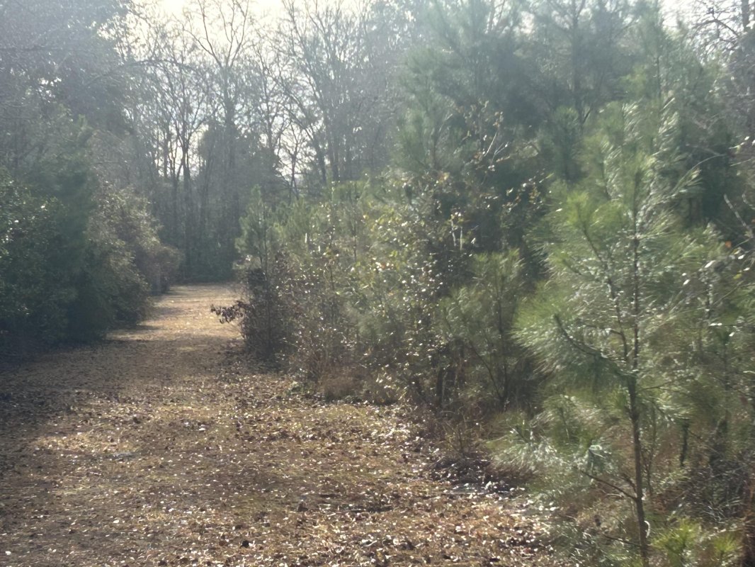1 Old Jacksonboro Road