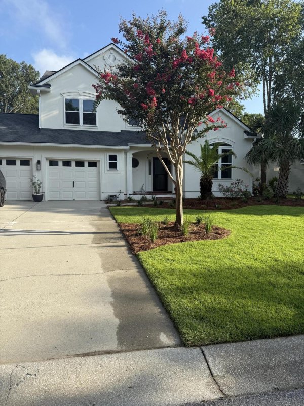 1235 Wild Olive Drive
