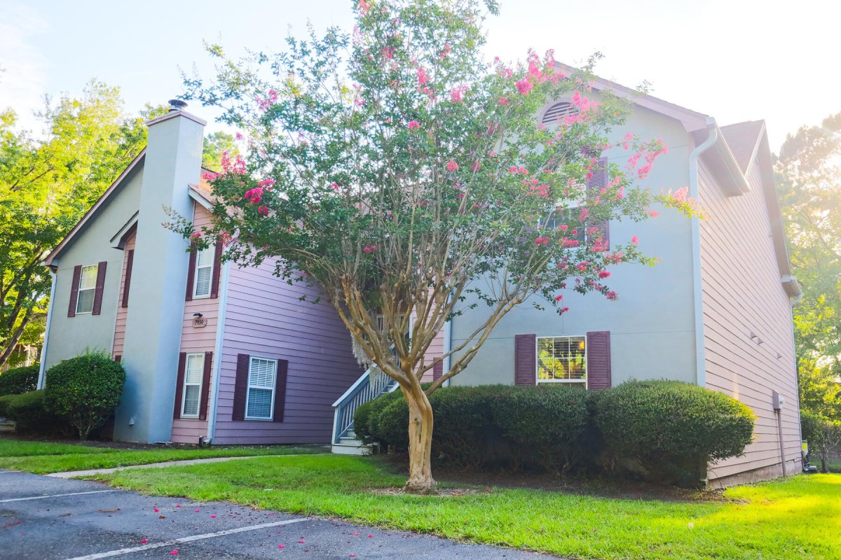 7950 Parklane Court