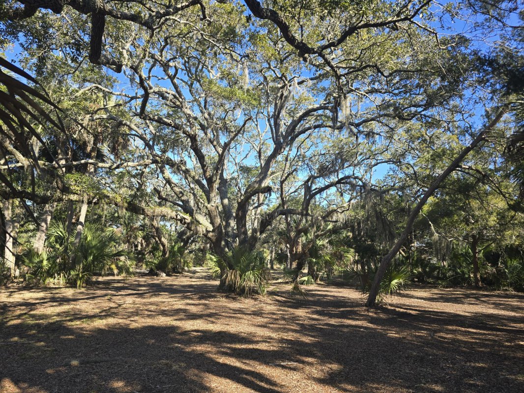 58 Painted Bunting Trail
