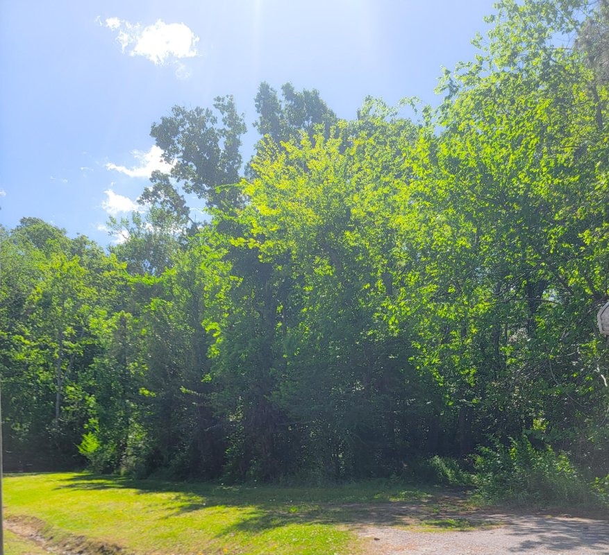 0 Singletary Avenue