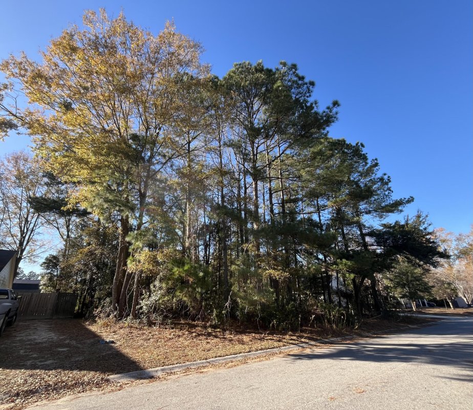 222 Jasmine Drive