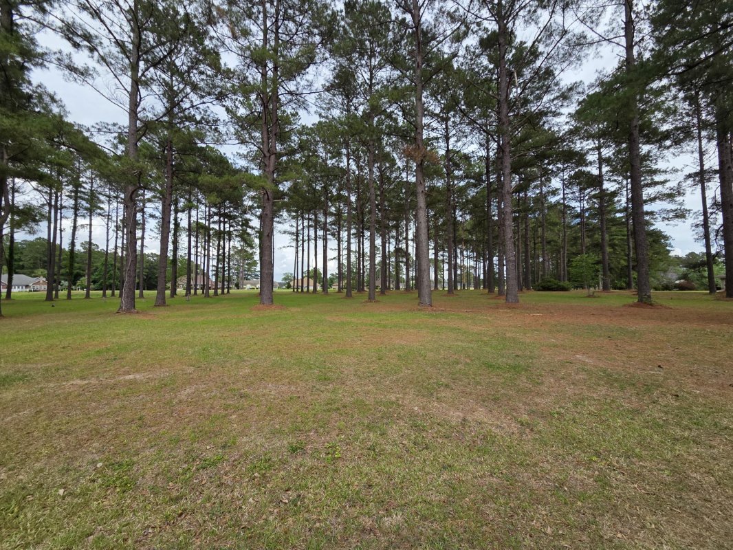 402 Pinelake Court