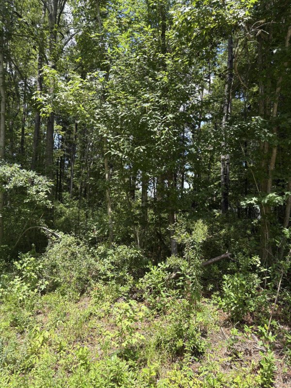 0 University Drive Lot 224