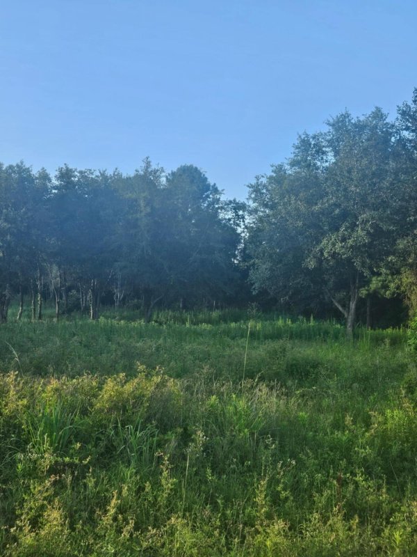 159 Moonlight Drive
