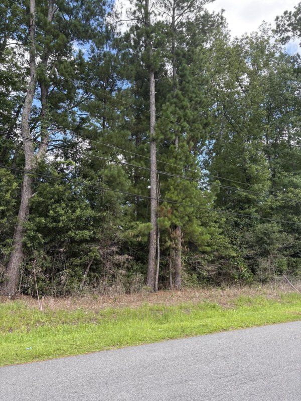 0 University Drive Lot 187