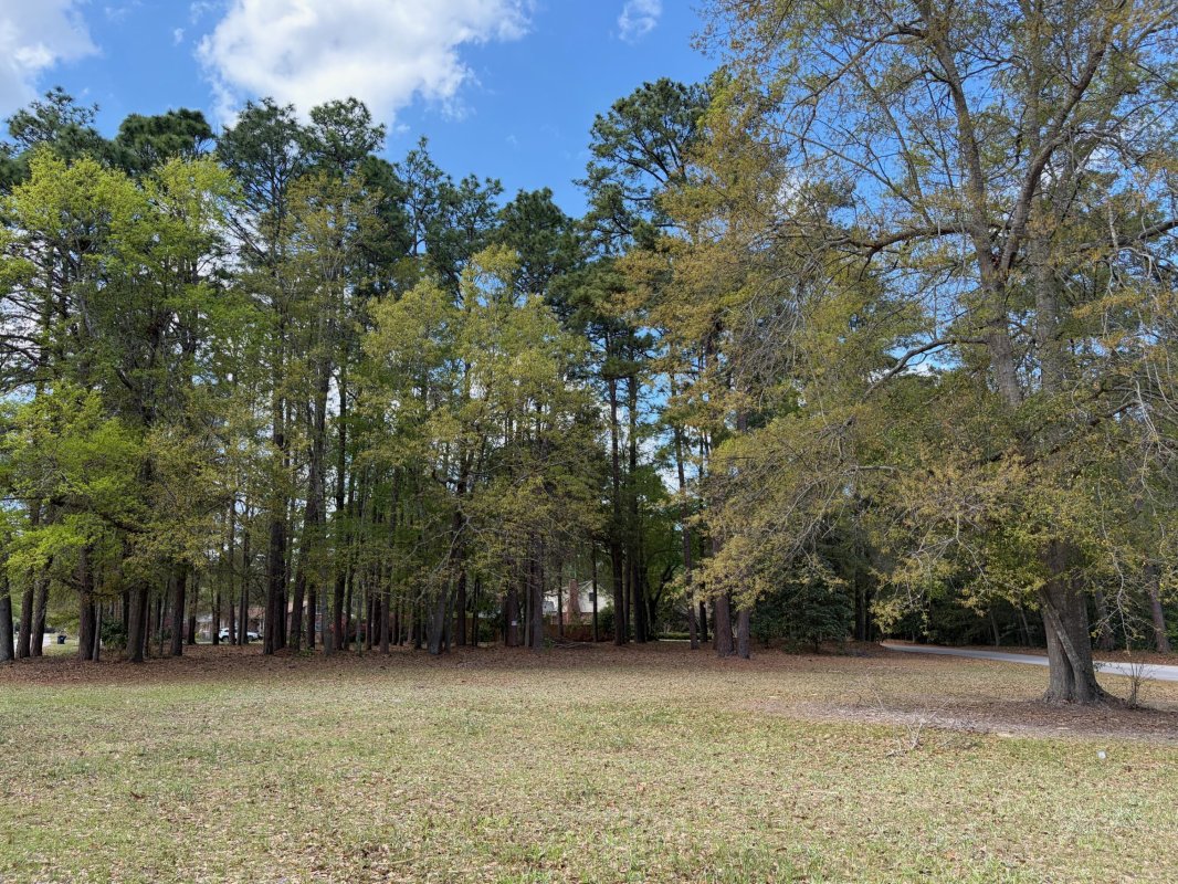 0 Otis Rd Longleaf Drive