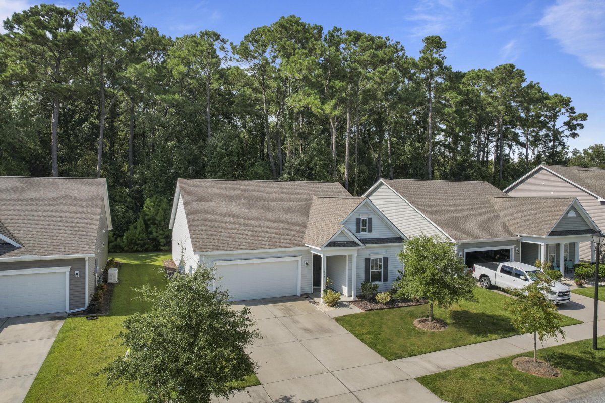 1589 Thin Pine Drive