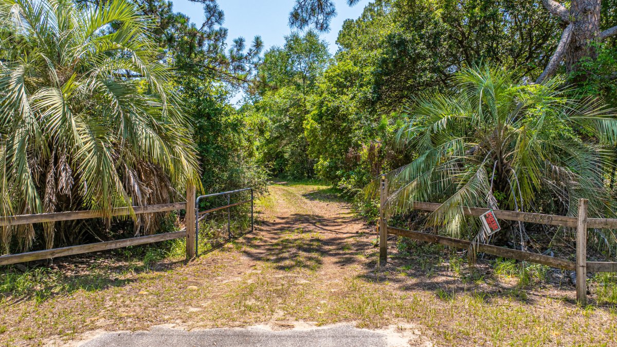 6589 Bears Bluff Road