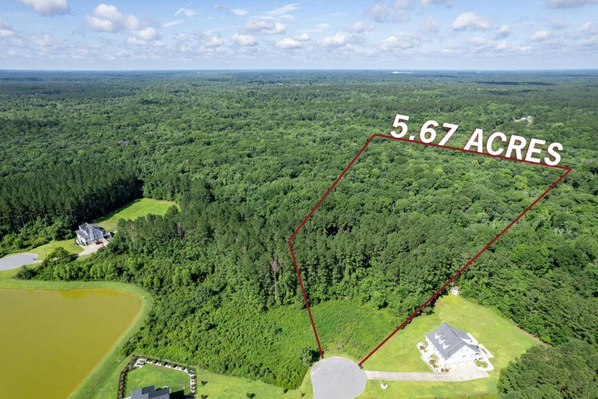 1336 Wood Sorrel Drive