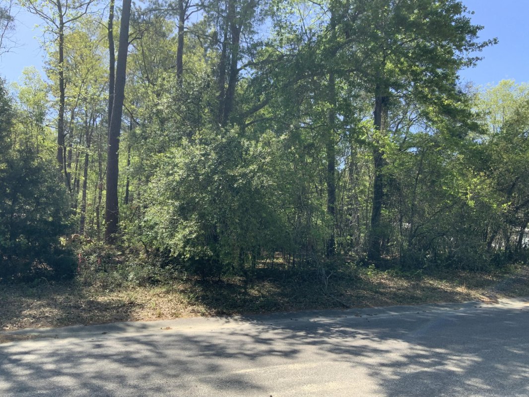 0 Ash Hill Drive