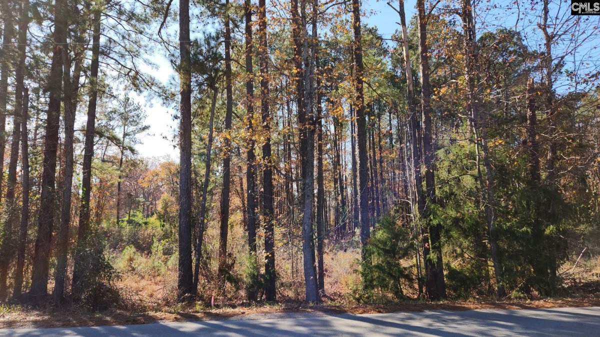 2221 Old Cherokee Road Lot #2