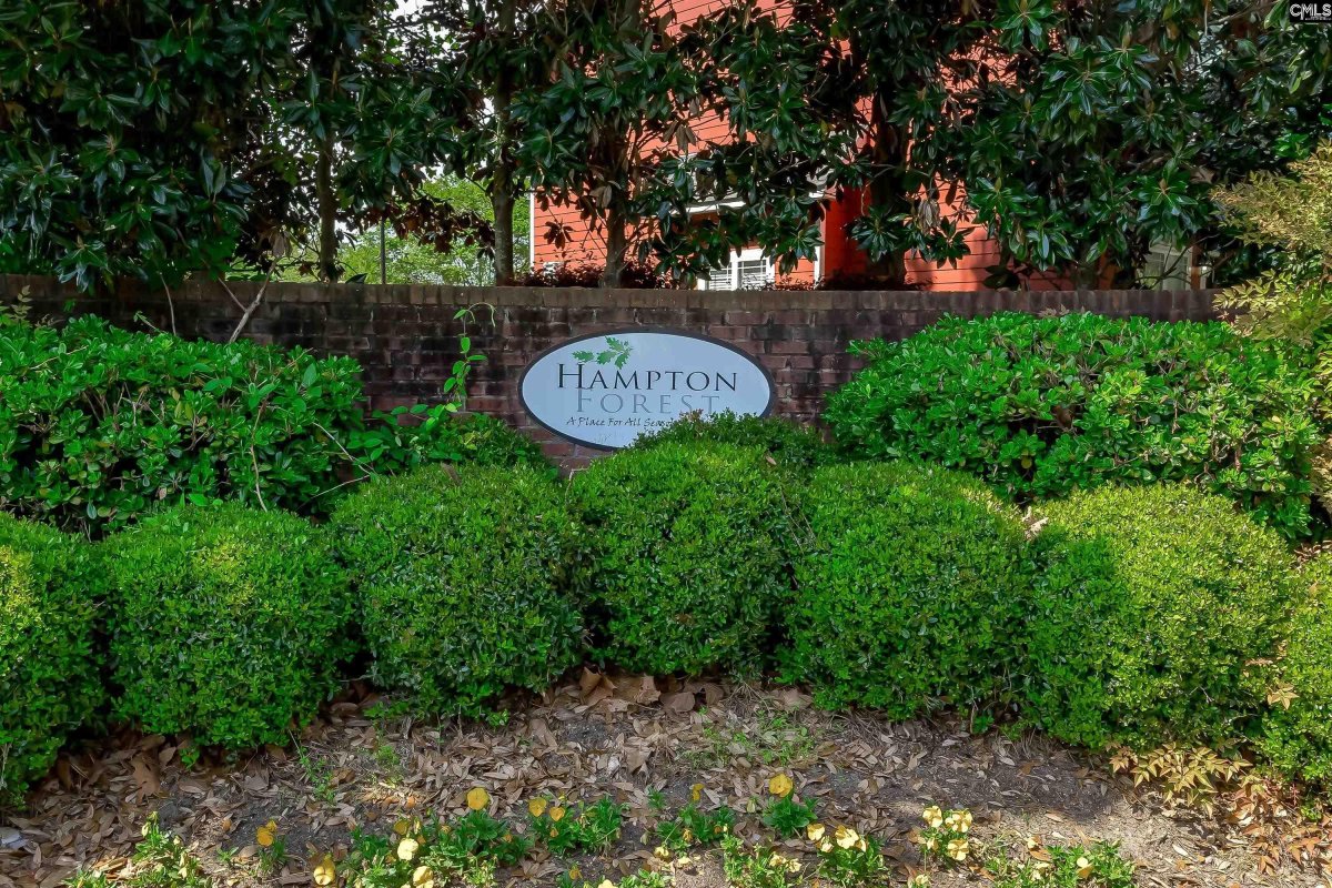 127 Top Forest Drive