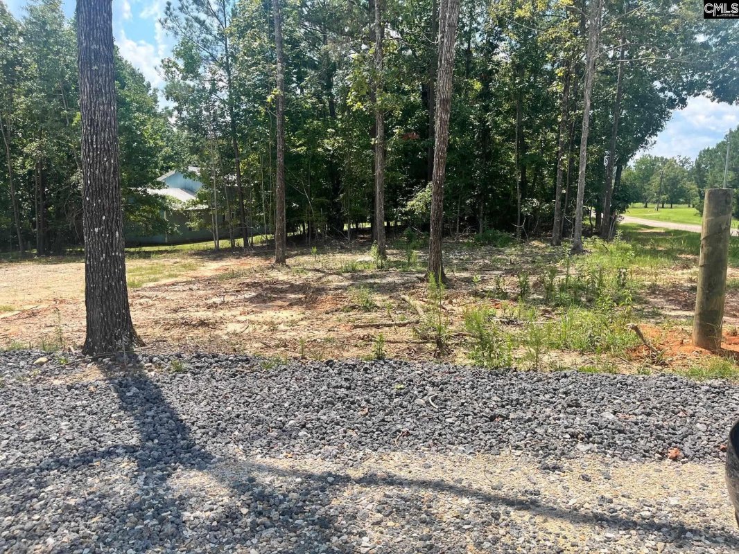 1230 Caughman Acres Road