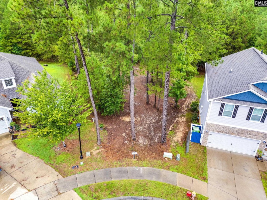 794 Carolina Aster Drive