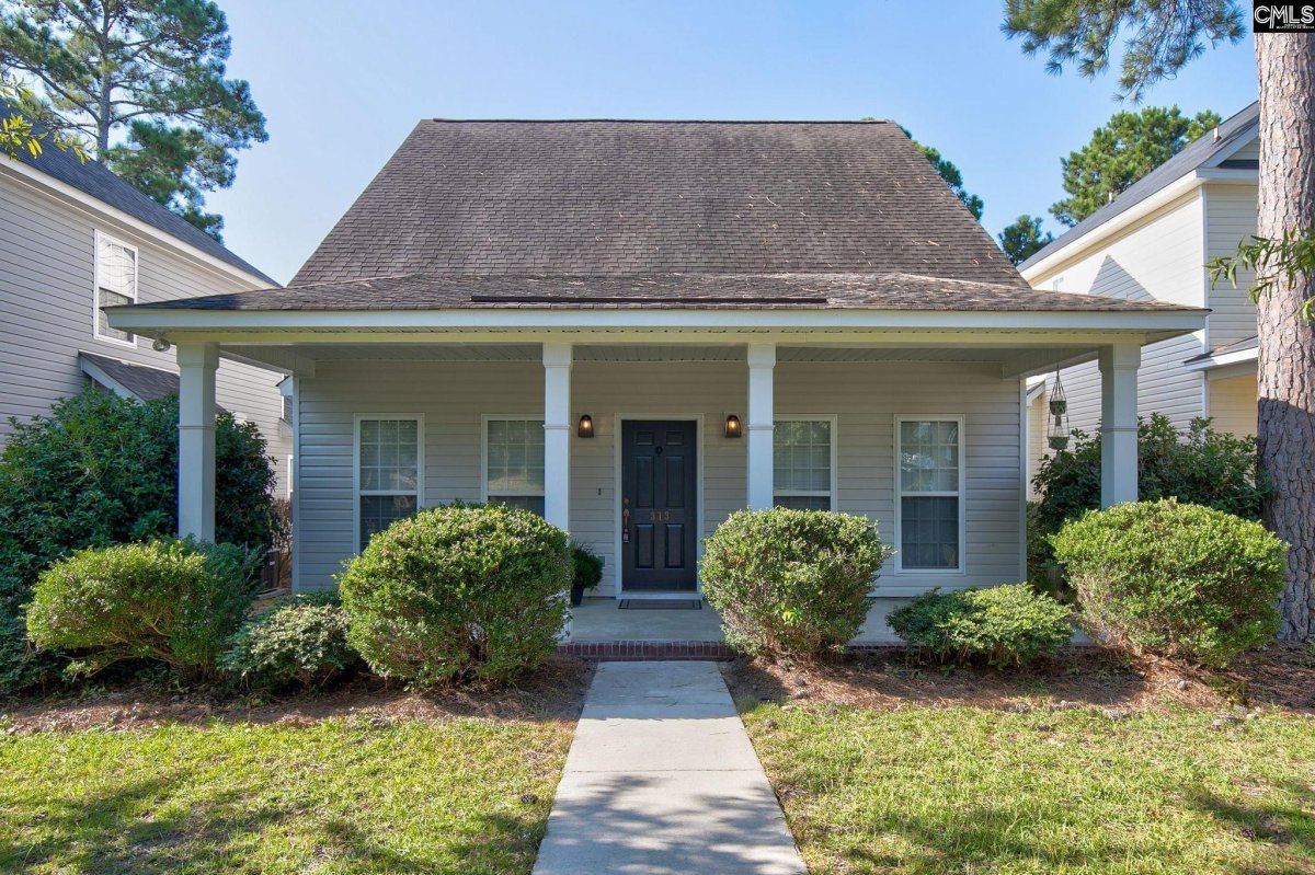 313 Castleburg Lane
