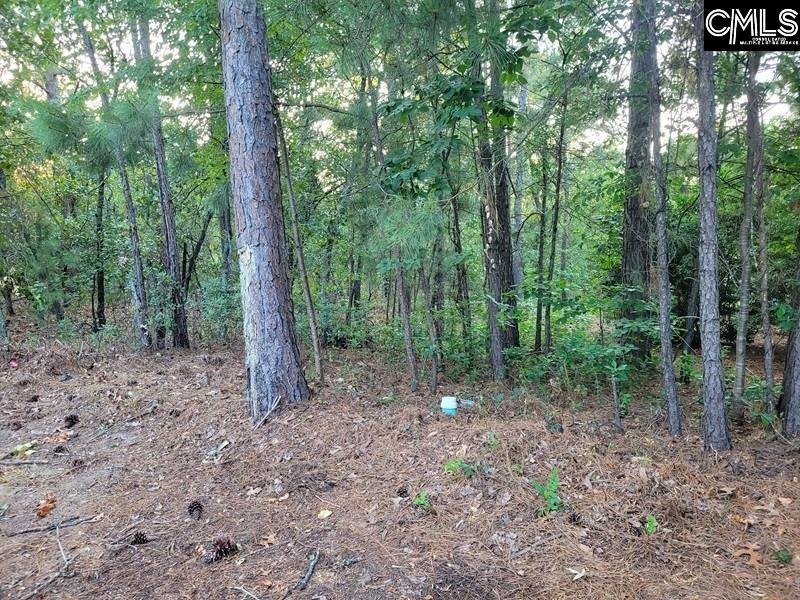 4 Lost Dog Court